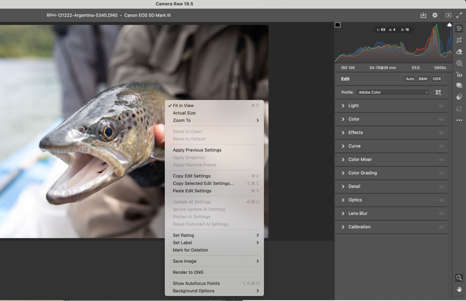 Preview in Camera Raw