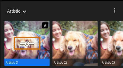 Profile halaga slider sa Lightroom para sa Android