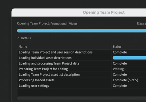When you open a Team Project, project components start loading and display the loading status.