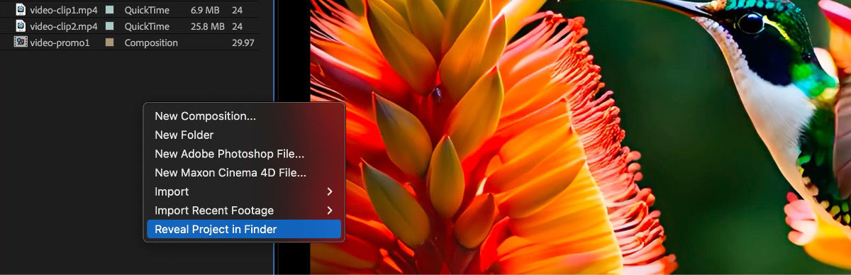 Files are displayed in the Project panel, and a context menu with multiple options is open, with the Reveal Project in Finder option currently selected.