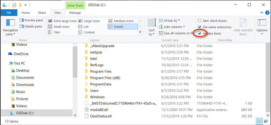 The File tab in Files Explorer showing the Hidden items check-box in the Show/hide area.