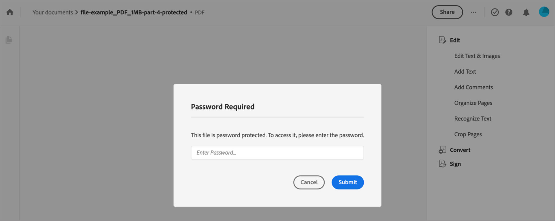 Enter password to view the protected PDF