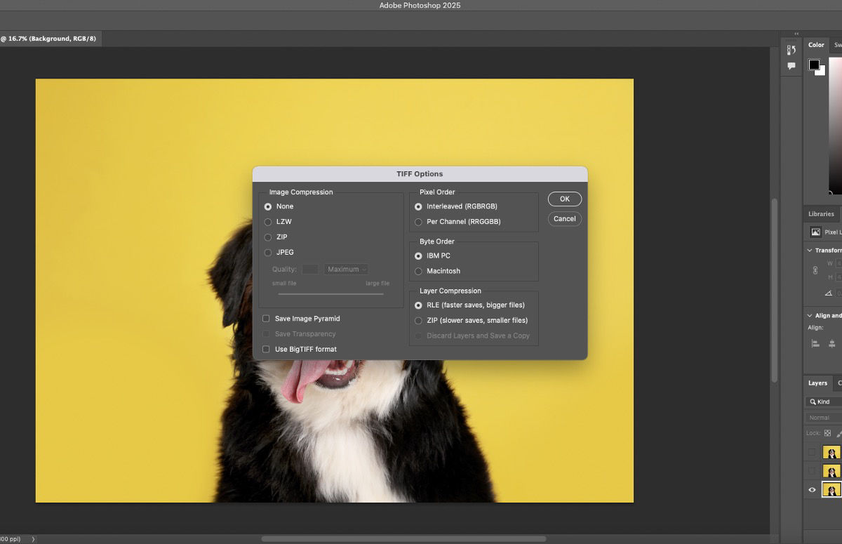 BigTIFF option now available for file sizes that are larger than 4 GB