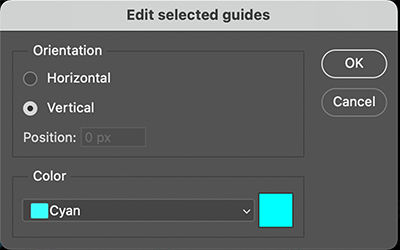 Edit Selected Guides dialog box in Photoshop