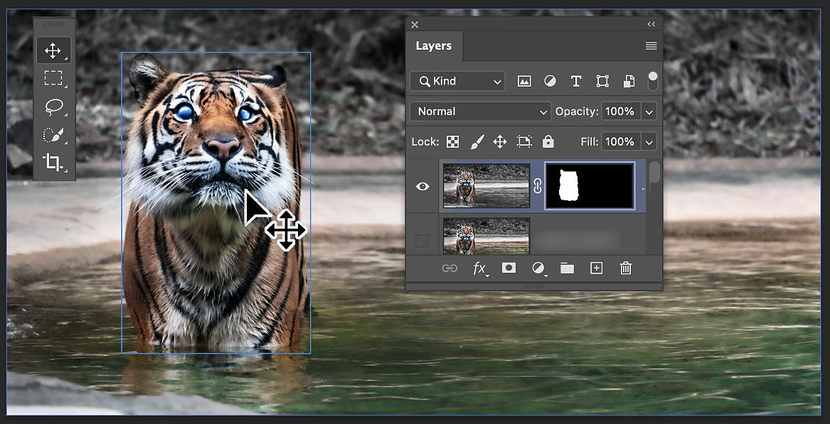 Move, copy, and delete selected pixels in Photoshop