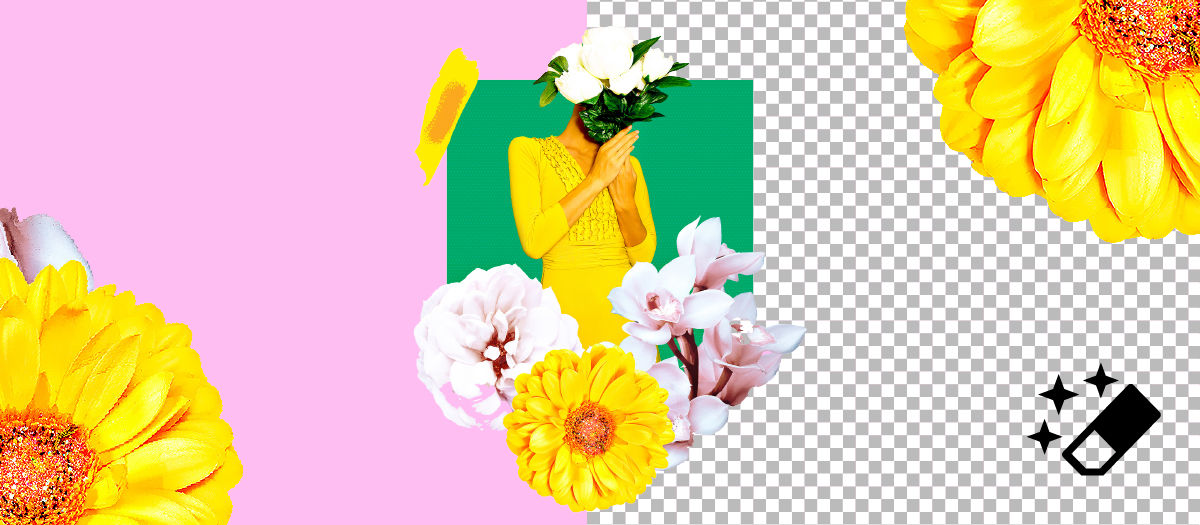 Umwandeln unerwünschter Objekte in einem Bild mit dem Magischen Radiergummi-Werkzeug in transparente Pixel