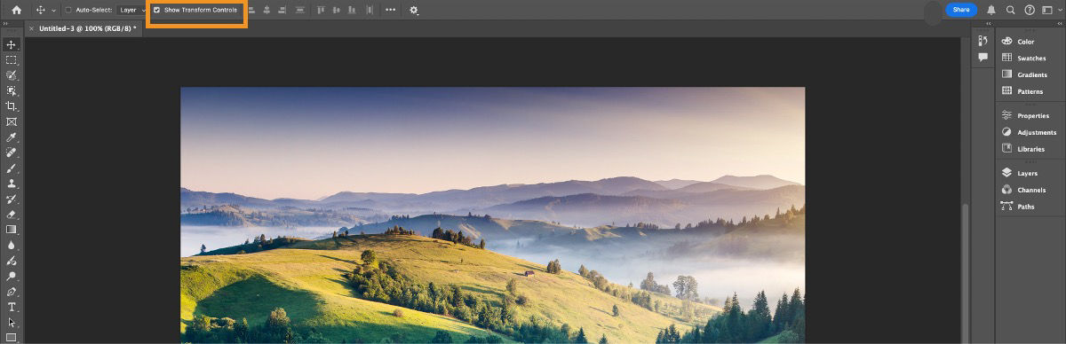 In the Photoshop workspacel, Show Transform Controls was housed under a gear icon in the options bar. It's now visible directly in the options bar. 
