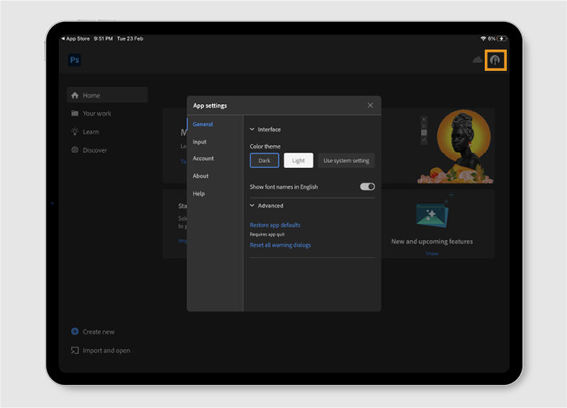 Photoshop iPad 版中的“应用程序设置”对话框