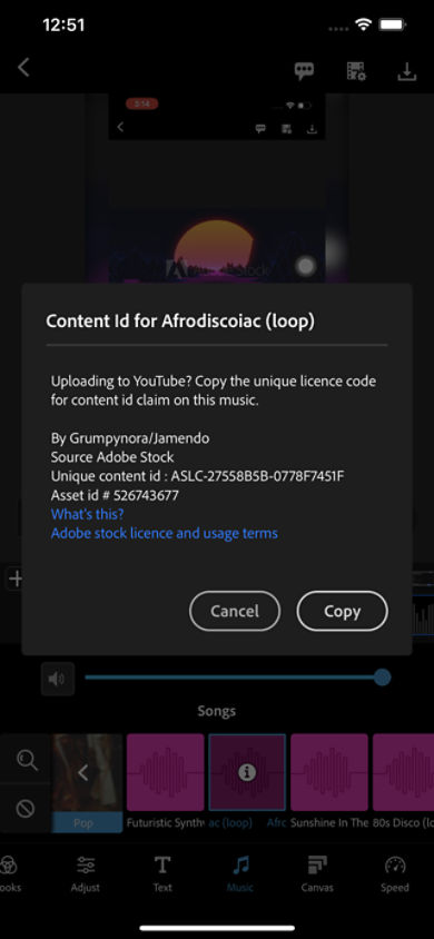 Screen grab showing the copy button which will be pasted on clipboard for content ID