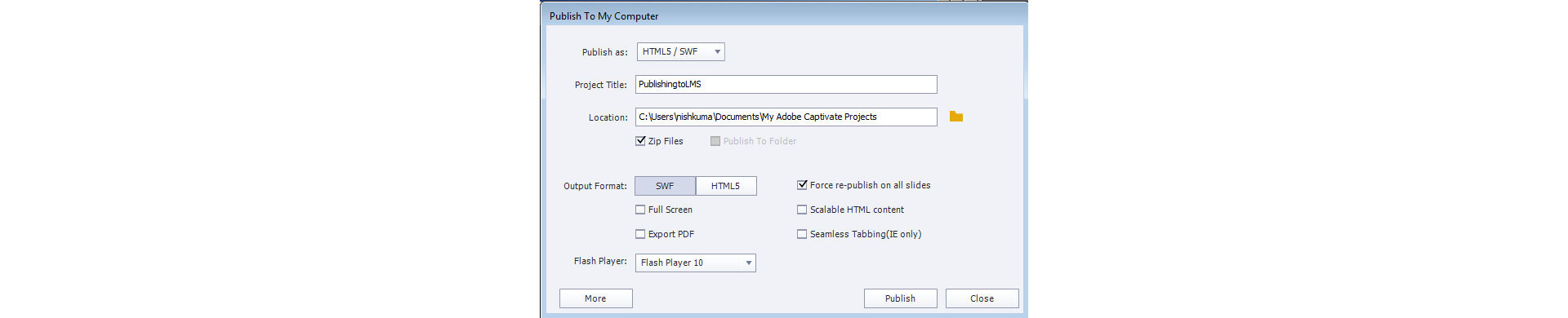 Publish To My Computer dialog box with output options