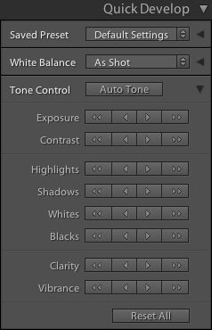 Lightroom Classic CC The Library module Quick Develop panel