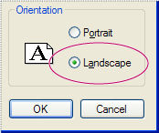 Select the new page orientation and click OK.