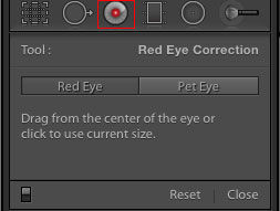 Lightroom red eye correction