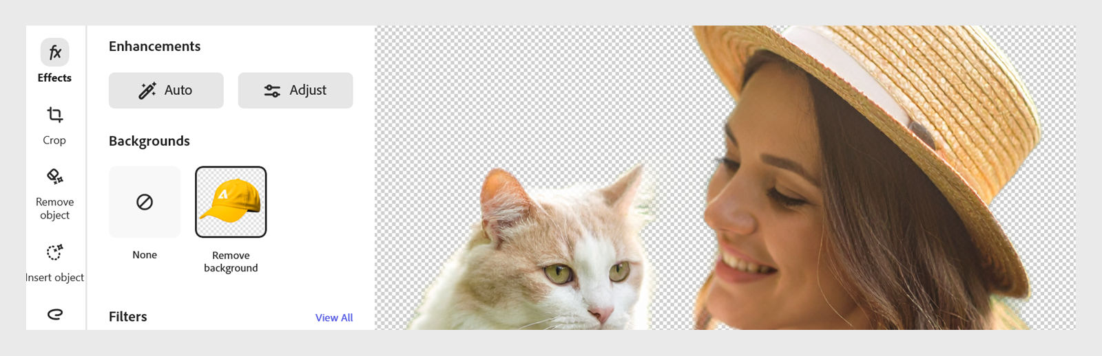 Image editor with the Remove Background option in the Backgrounds section highlighted in the left Effects panel.