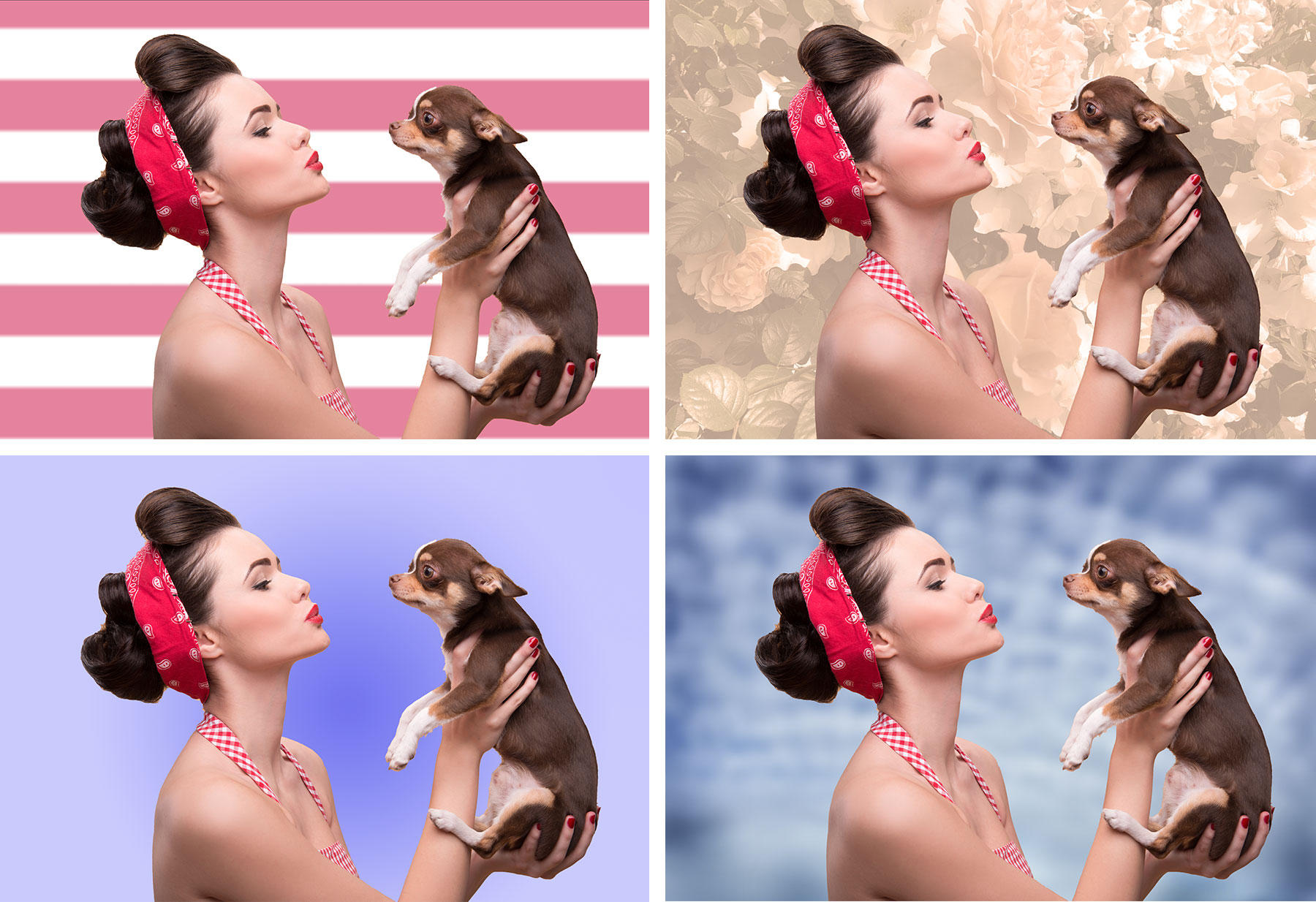 Four backgrounds of woman and chihuahua: pink horizontal stripes, gold flowers, purple gradient, and light blue shapes.