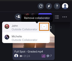 Remove collaborators