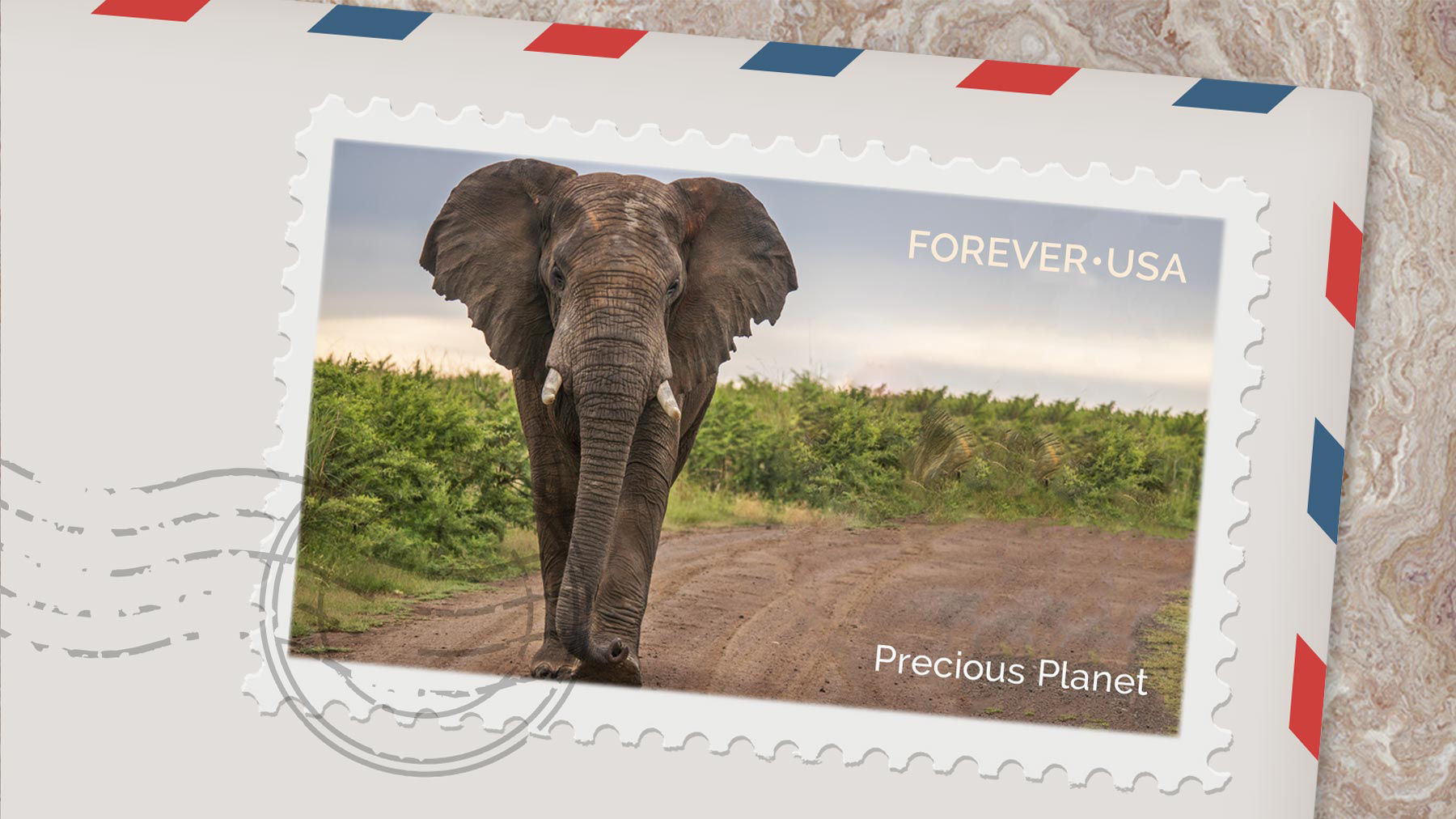 Elephant walking along a dirt road on a Forever USA Postage stamp affixed to a postcard.