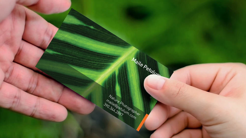 Man holds business card for nature photographer featuring close-up of variegated plant leaf. 