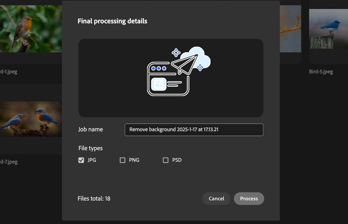 The Final processing details dialog box is open and the JPG is selected as the file type.