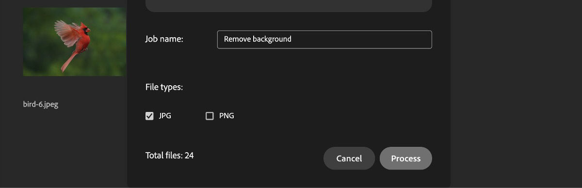 The Final processing details dialog box is open and the JPG is selected as the file type.