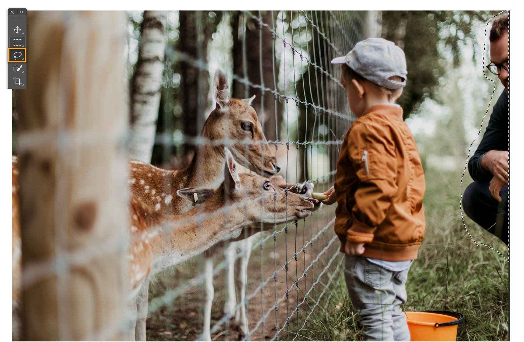 Toddler boy feeding deer through fence, distracting man squatting to the right of the photo is selected with the lasso tool.