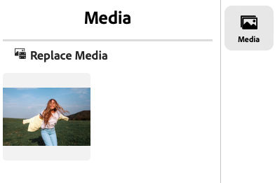 Select the Replace Media button to replace the photo.