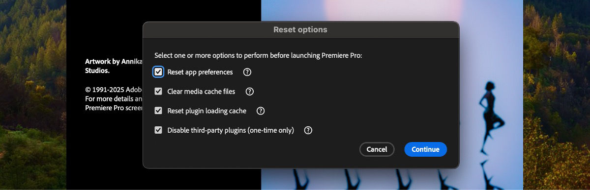 The Reset options dialog box is launched, there are different options to perform launching Premiere Pro, such as Reset app preferences, Clear media cache files, and Reset plugin loading cache.