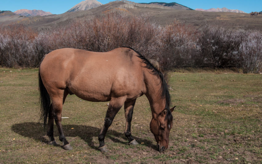 Klik op OK wanneer u klaar bent!