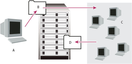 Network rendering setup