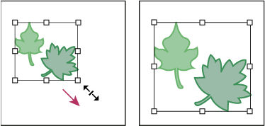Transformación mediante el cuadro delimitador