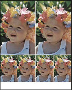 Photoshop Picture package layout