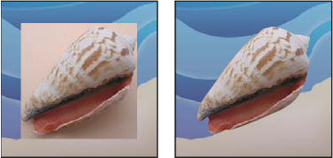 Photoshop With and without clipping path