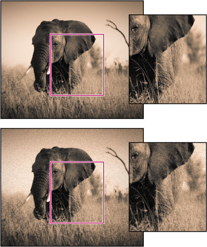 Korreligheid op de film simuleren in Lightroom Classic CC