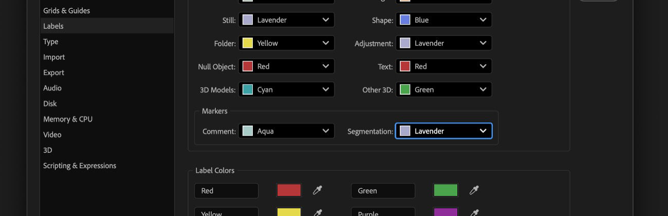 The Preferences dialog box is open and there are options to customize the label color including Comment and Segmentation markers.