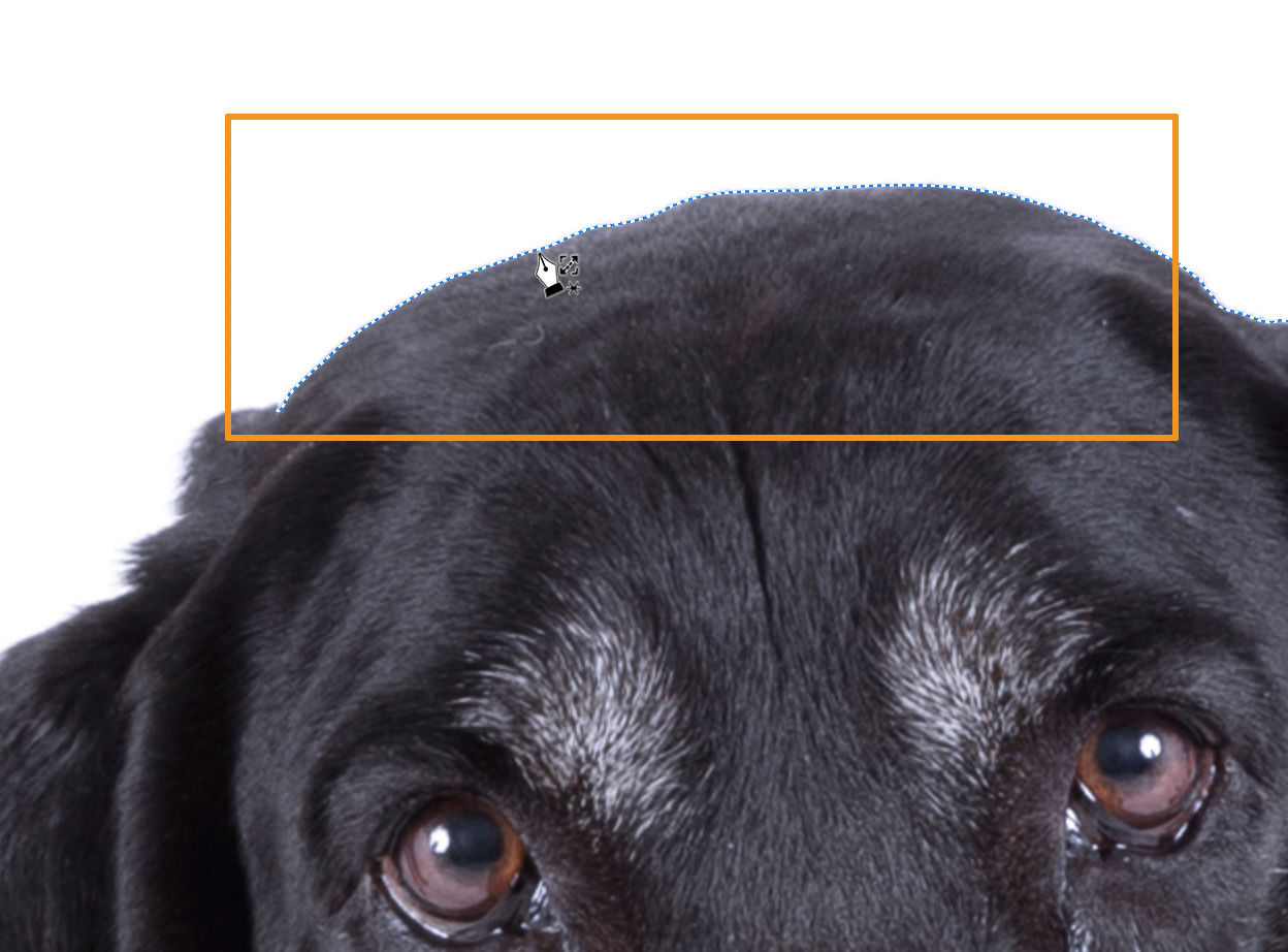 Traceerpentool voor behouden van inhoud