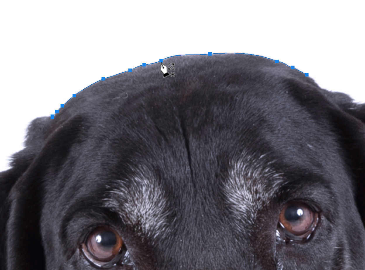 De tool Traceren met behoud van inhoud