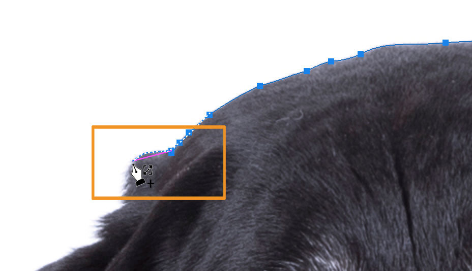 De tool Traceren met behoud van inhoud