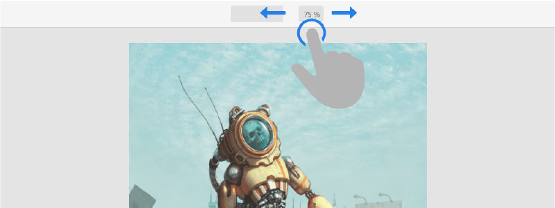Scroll the zoom percentage box sideways to adjust the magnification