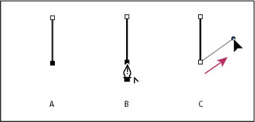 Een recht segment tekenen, gevolgd door een gebogen segment met de tool Pen in Photoshop