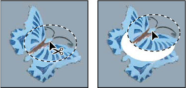 Перемещение выделенной области в Photoshop