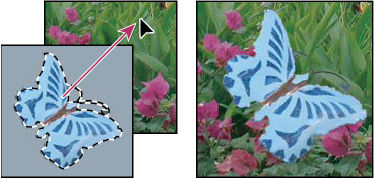 Photoshop Drag a selection into another image