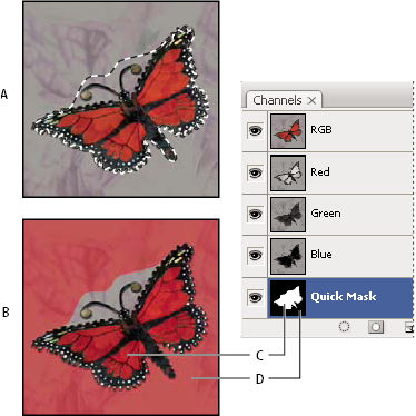 Photoshop Standard mode and Quick Mask mode