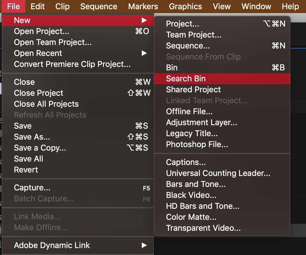 Accessing the Search bin dialog box