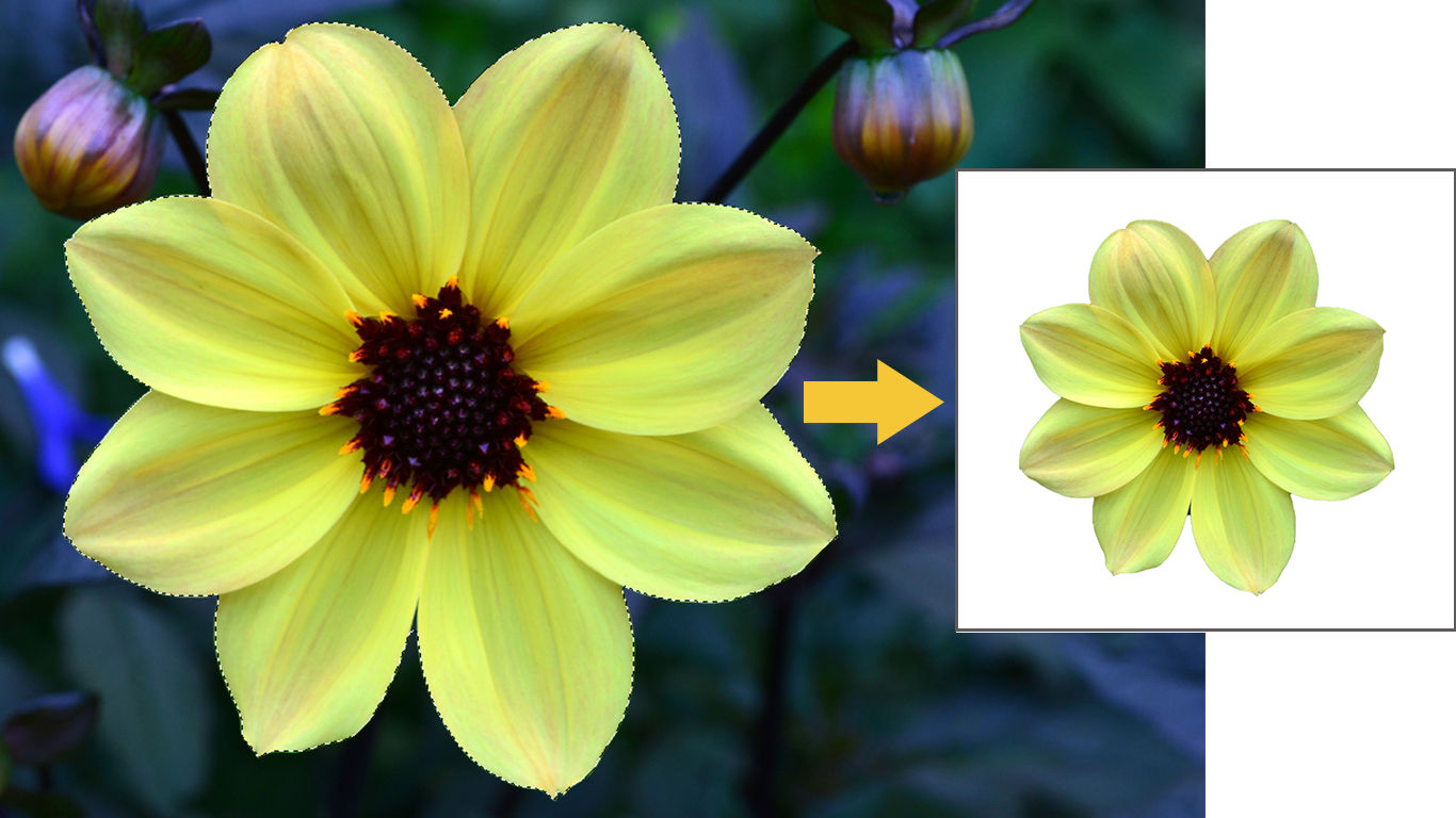 A selection in Photoshop