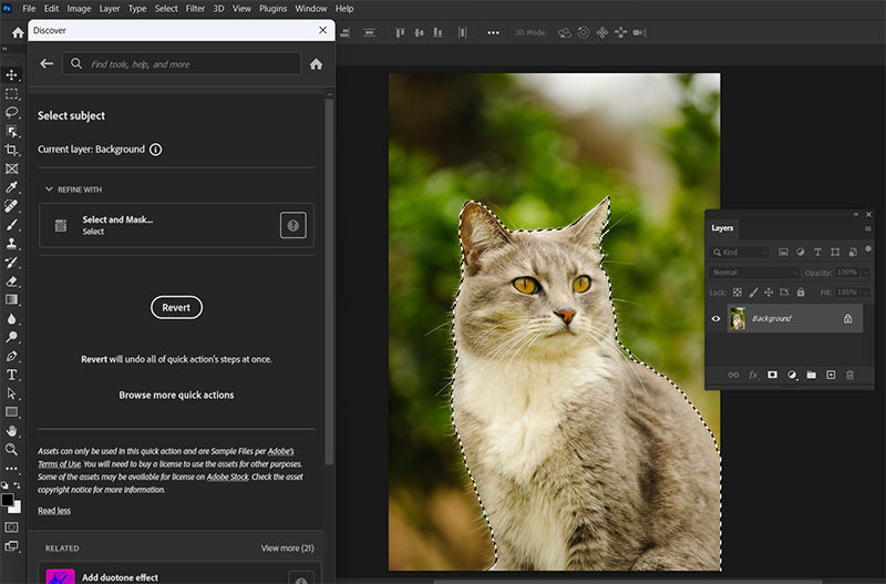 Click Revert to undo the changes applied by the Select Subject quick action