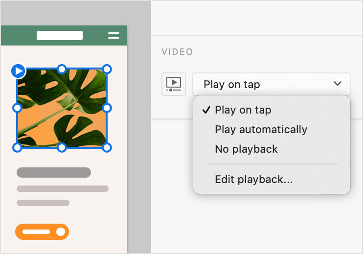 Set a playback option for your video