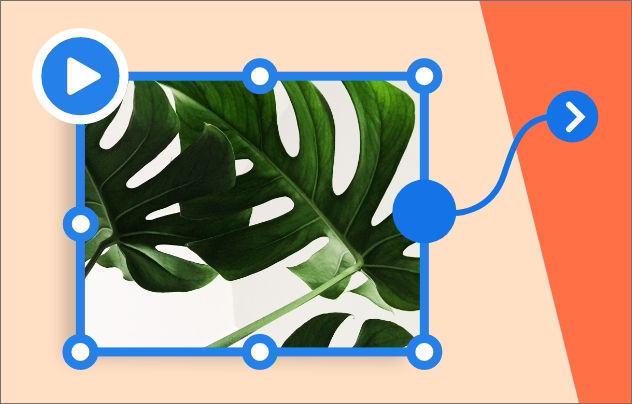 Set a playback option