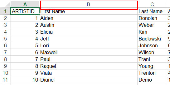 SpreadsheetSetColumnWdith output