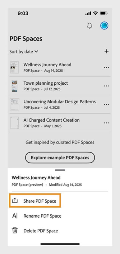 Acrobat PDF Space page displays the list of user-created projects, where one is selected with 'Share PDF Space' button highlighted.