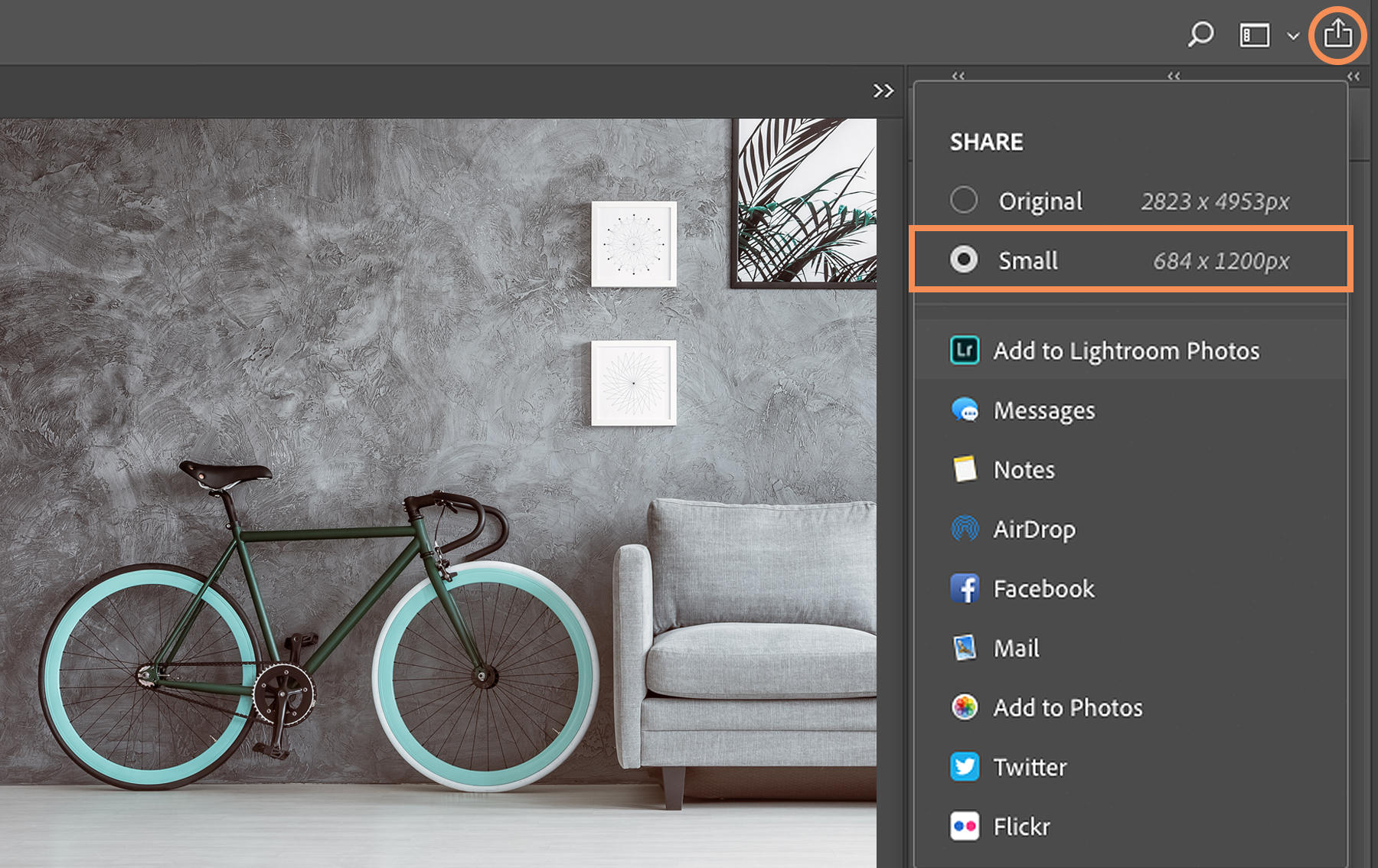 Share dialog box is open on macOS, Small option is selected to reduce file size. Sharing platforms appear in a list. 